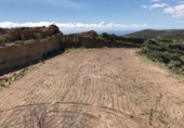 Terreno no urbanizable en venta en la España, Granadilla de Abona, ref: TR375766 foto