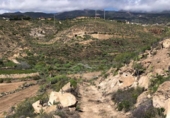 Terreno no urbanizable en venta en la España, Granadilla de Abona, ref: TR375766 foto