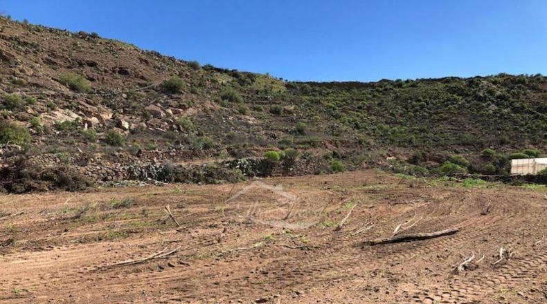 Santa Cruz de Tenerife - Granadilla de Abona - 37198m2
