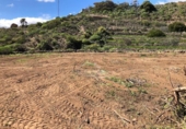Terreno no urbanizable en venta en la España, Granadilla de Abona, ref: TR375766 foto