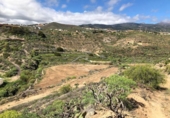 Terreno no urbanizable en venta en la España, Granadilla de Abona, ref: TR375766 foto