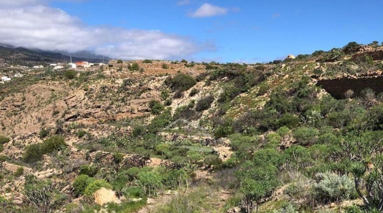 Santa Cruz de Tenerife - Granadilla de Abona - 37198m2
