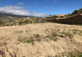 Terreno no urbanizable en venta en la España, Granadilla de Abona, ref: TR375766 foto