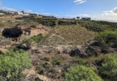 Terreno no urbanizable en venta en la España, Granadilla de Abona, ref: TR375766 foto