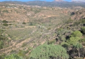 Terreno no urbanizable en venta en la España, Granadilla de Abona, ref: TR375766 foto