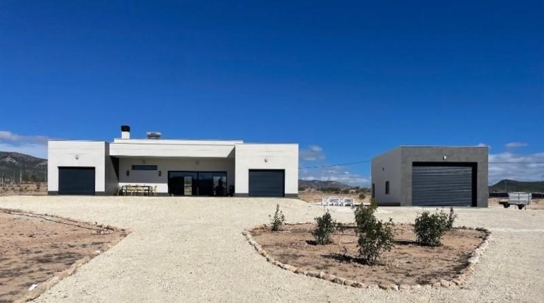 Alicante - Pinoso - 10000m2