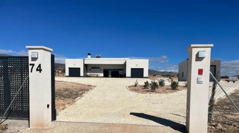 Alicante - Pinoso - 10000m2