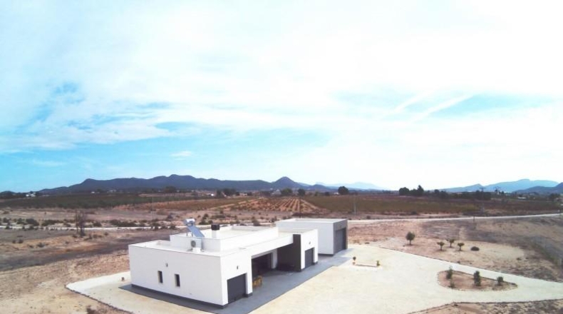 Alicante - Pinoso - 10000m2