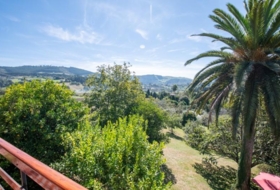 Villaviciosa 3375&nbsp;m² 