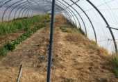 Non-developable land for rent in Salamanca ref: TR403141 photo