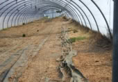 Non-developable land for rent in Salamanca ref: TR403141 photo