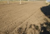 Non-developable land for rent in Salamanca ref: TR403141 photo