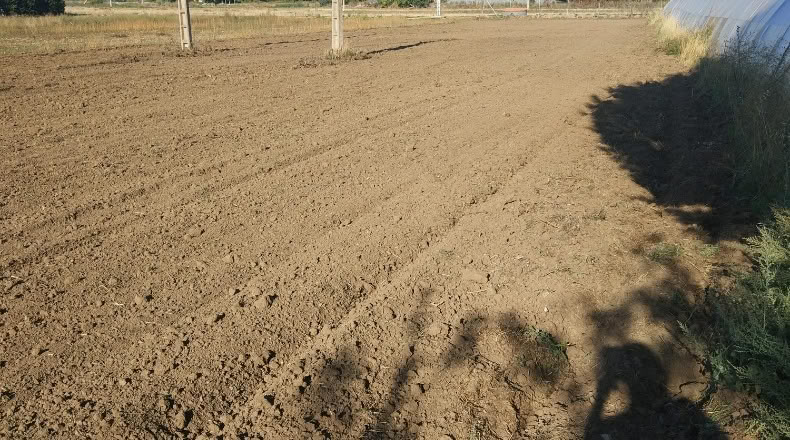 Salamanca - Salamanca - 6050m2