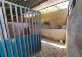 Xalet independent amb terreny en venda a la España, Alzira, ref.: TR166854 foto