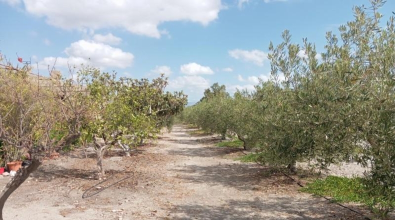 Murcia - Puerto Lumbreras - 48000m2