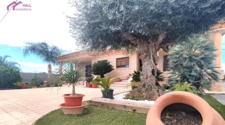 Murcia - Murcia - 982m2