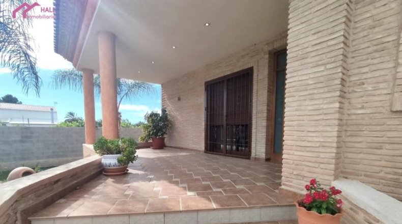 Murcia - Murcia - 982m2