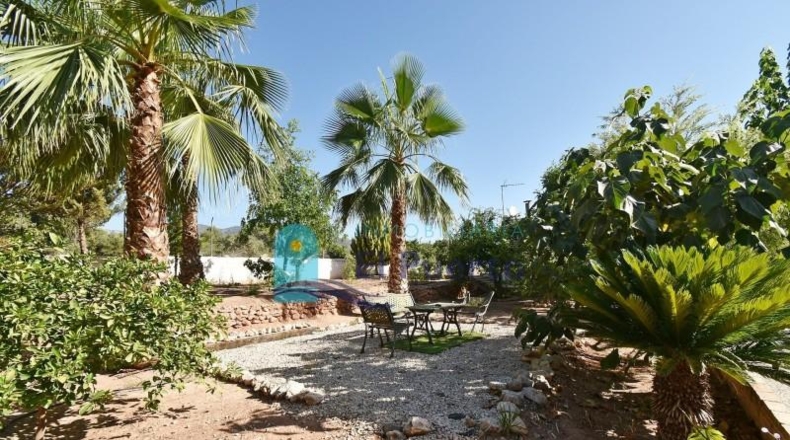 Murcia - Totana - 4670m2