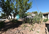 Casa de campo con terreno en venta en la España, Totana, ref: TR165239 foto