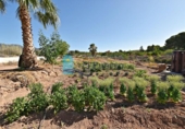 Casa de campo con terreno en venta en la España, Totana, ref: TR165239 foto
