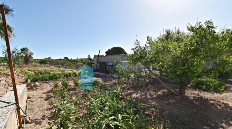Murcia - Totana - 4670m2