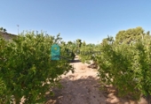 Casa de campo con terreno en venta en la España, Totana, ref: TR165239 foto