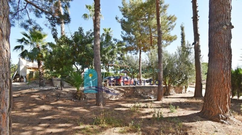 Murcia - Totana - 4670m2