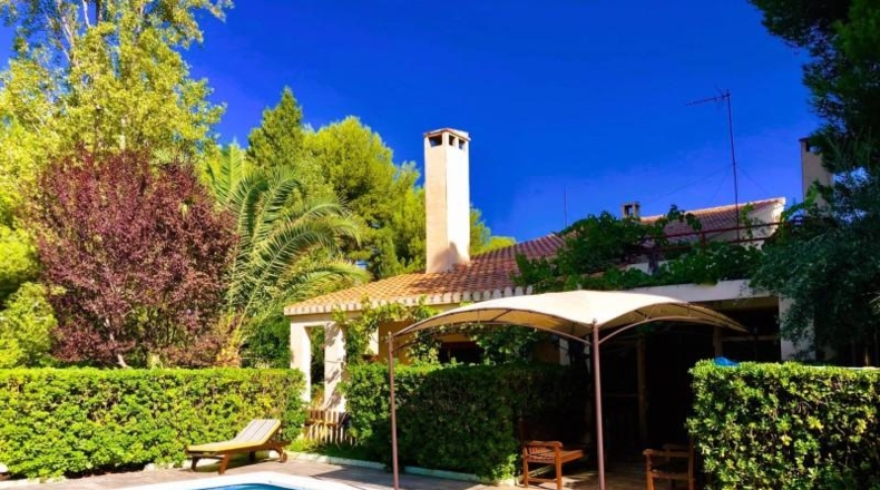 Castellón - Alcora - 2504m2