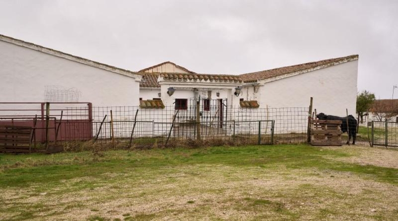 Salamanca - Horcajo Medianero - 430m2