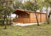 Casa de camp amb terreny en venda a la España, Horcajo Medianero, ref.: TR359256 foto