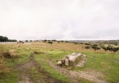 Casa de camp amb terreny en venda a la España, Horcajo Medianero, ref.: TR359256 foto