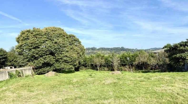 La Coruña - Cambre - 4000m2