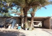 Земельный участок на продажу в городе Lorca Фото