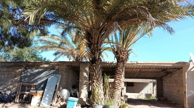 Murcia - Lorca - 4600m2