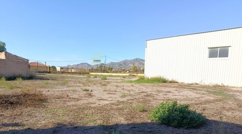 Murcia - Lorca - 4600m2