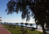 Отдельно стоящий дом с участком на продажу в городе Los Alcázares Фото