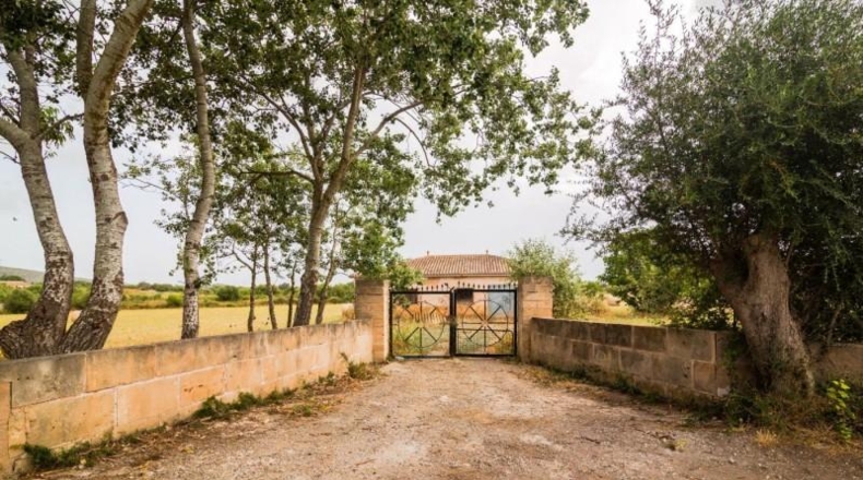 Islas Baleares - Capdepera - 14800m2