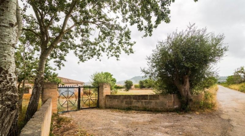 Islas Baleares - Capdepera - 14800m2