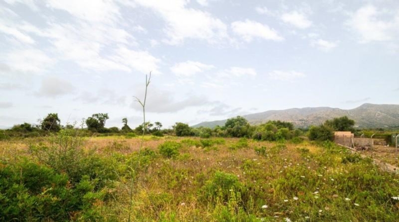 Islas Baleares - Capdepera - 14800m2
