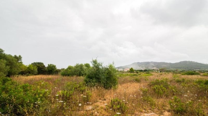 Islas Baleares - Capdepera - 14800m2
