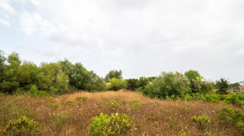 Islas Baleares - Capdepera - 14800m2