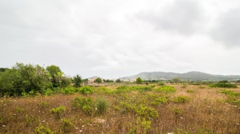 Islas Baleares - Capdepera - 14800m2