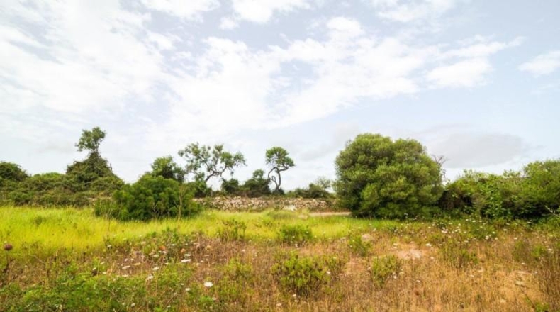 Islas Baleares - Capdepera - 14800m2