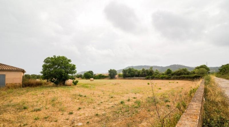 Islas Baleares - Capdepera - 14800m2