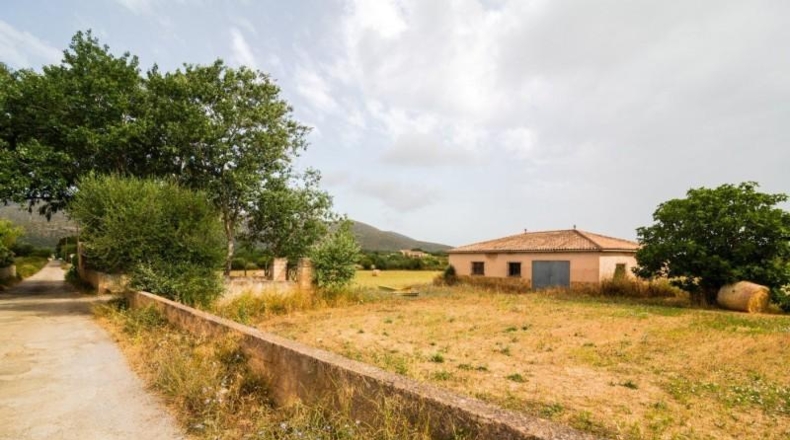 Islas Baleares - Capdepera - 14800m2