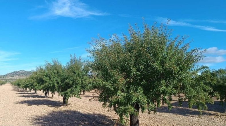 Valencia - Valencia - 580000m2