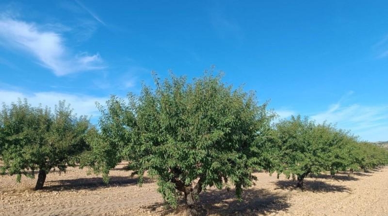 Valencia - Valencia - 580000m2