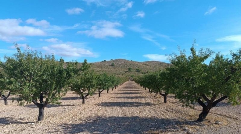 Valencia - Valencia - 580000m2