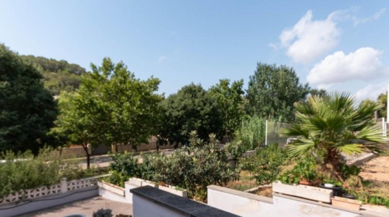 Barcelona - Sant Pere de Ribes - 694m2