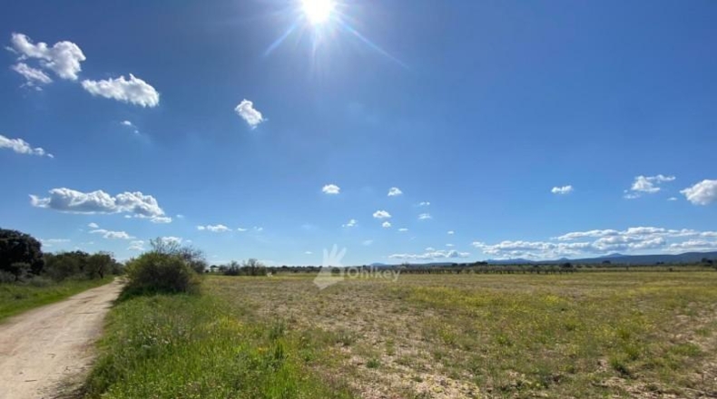 Community of Madrid - Villa del Prado - 69290m2